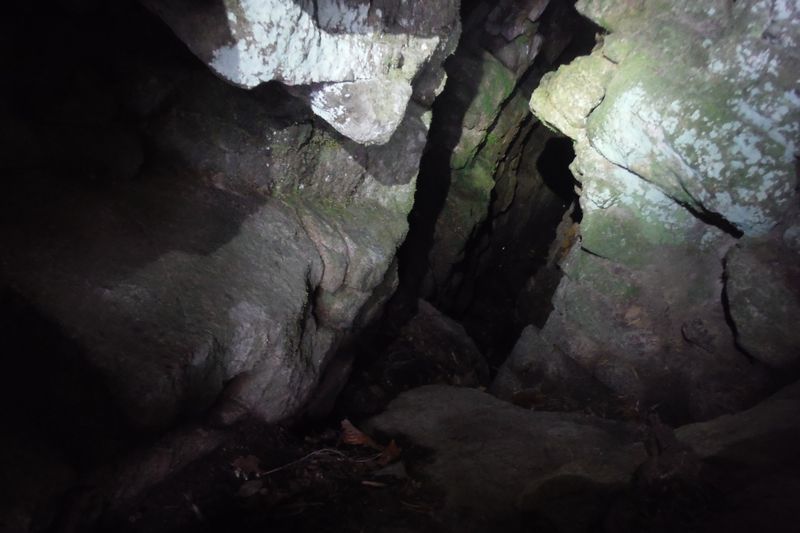 c0294658_07421444.jpg