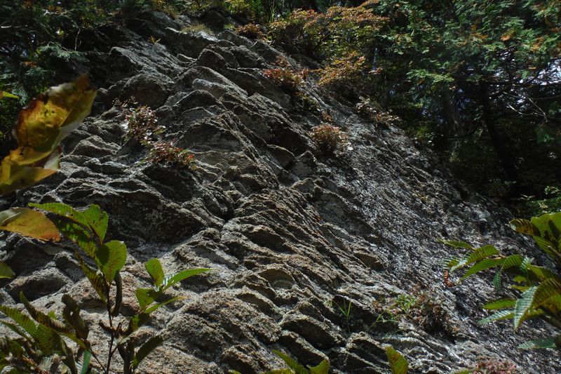 c0294658_07431302.jpg