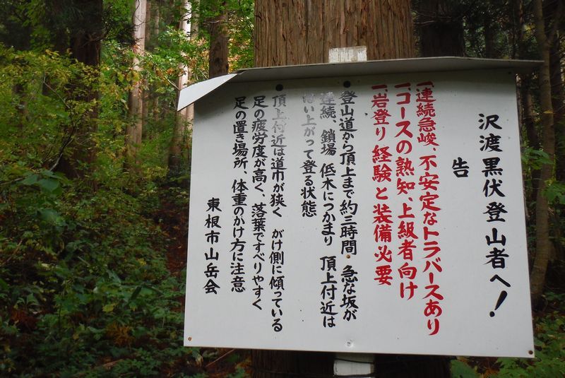 c0294658_07435206.jpg