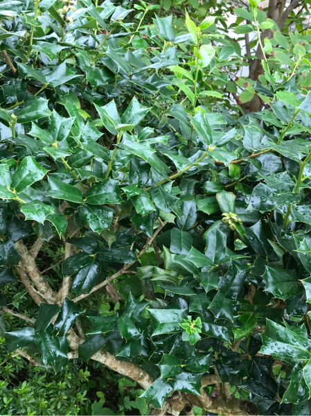 d0298558_07100278.jpg