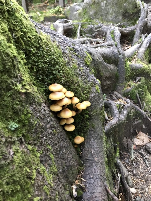 f0303858_18271230.jpeg
