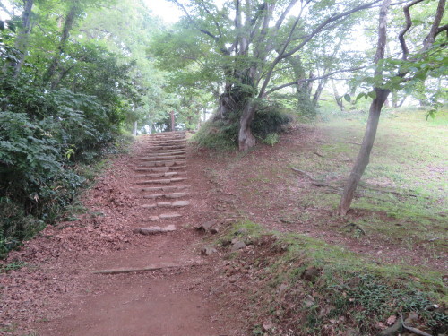 b0301459_05125523.jpg