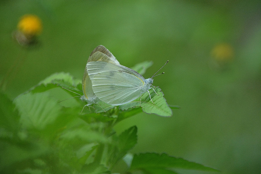 d0387460_23181421.jpg
