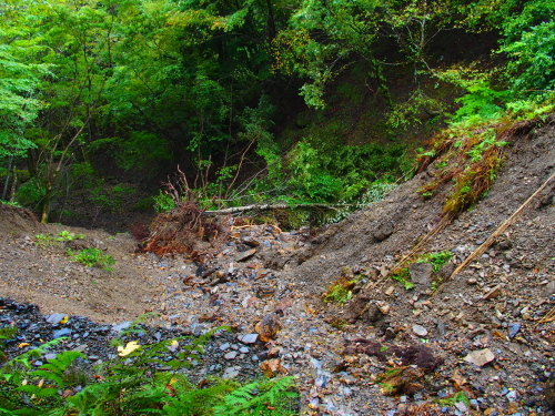f0327061_17241712.jpg