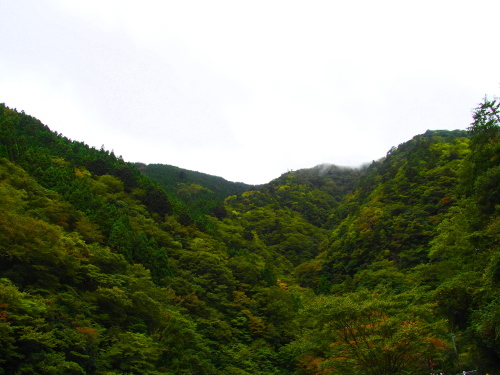 f0327061_17244702.jpg