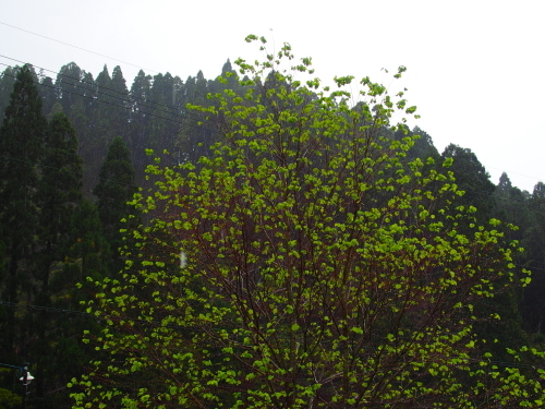 f0327061_17254807.jpg