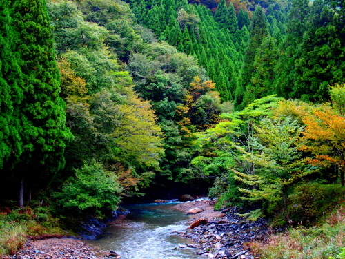 f0327061_17255949.jpg