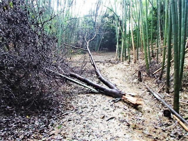 b0044663_14033382.jpg