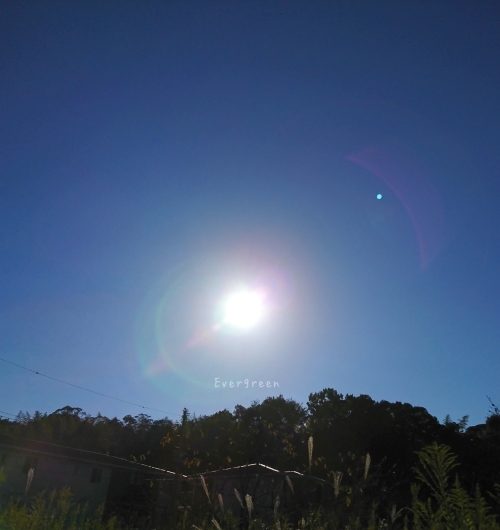 d0362666_20315927.jpg