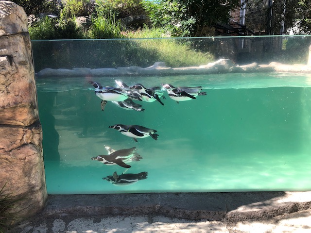 動物園_a0126267_22415258.jpg