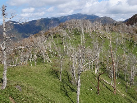 c0303868_03333302.jpg