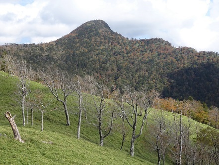 c0303868_03335046.jpg