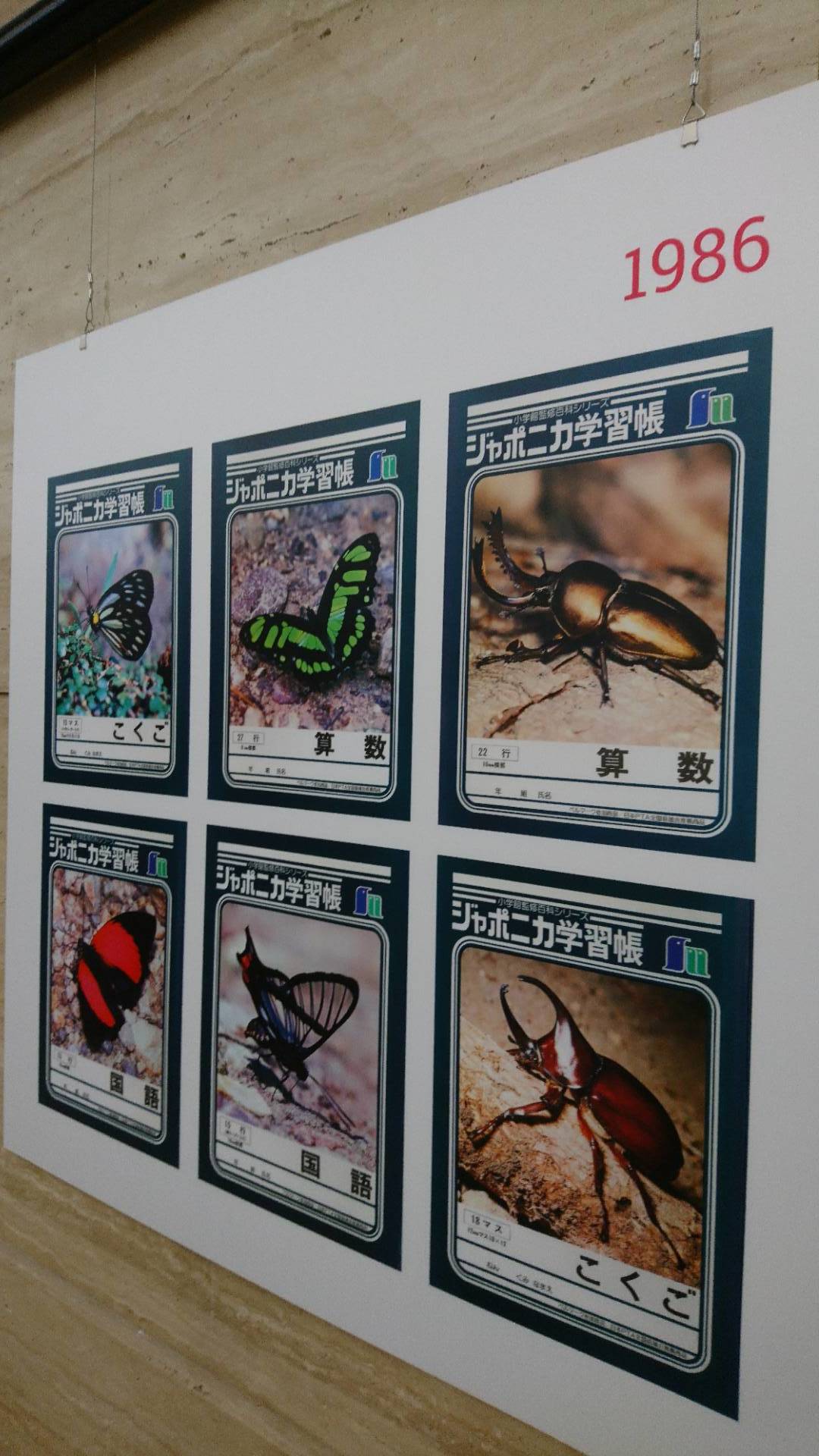 特別展「昆虫」@科博にて翠虹の蛾や蟻との共生生物などに魅了される_c0002171_21440085.jpg