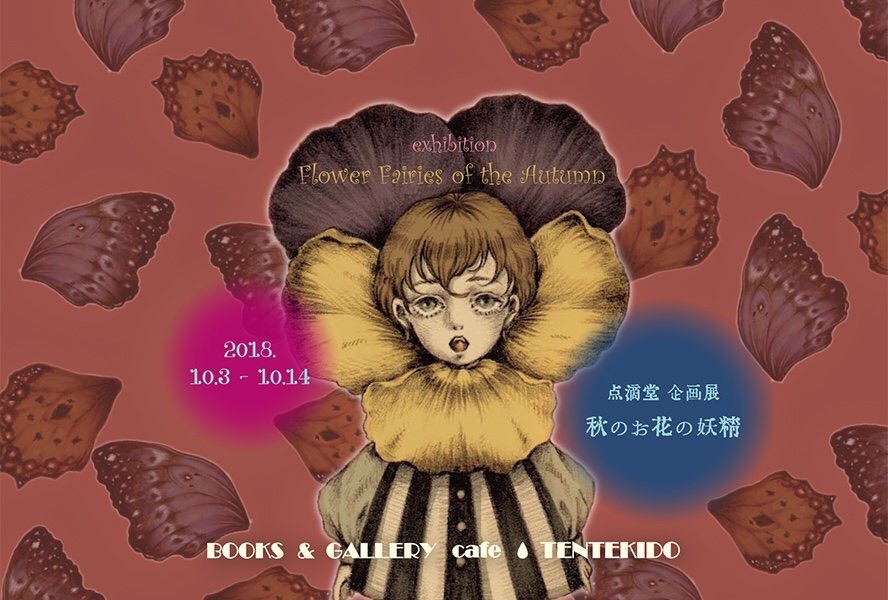 点滴堂 企画展「秋のお花の妖精」_c0161571_14072249.jpg
