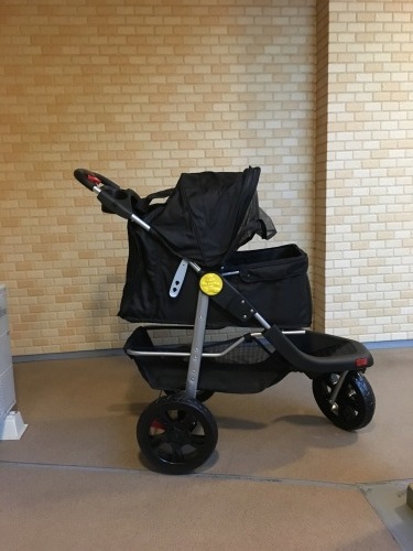 e0217871_19021101.jpeg