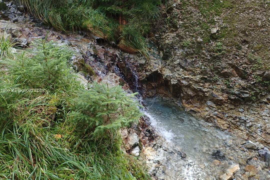f0236776_17551244.jpg