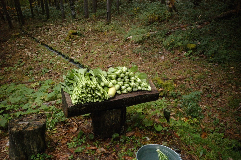 f0124378_21263965.jpg