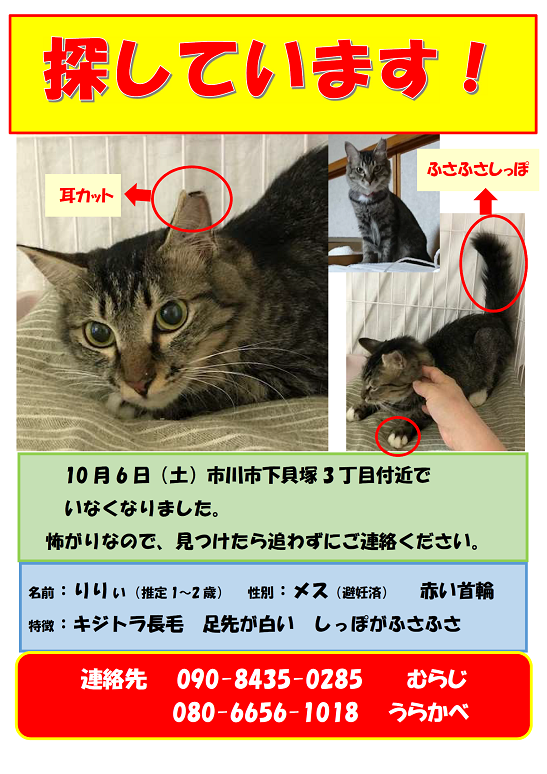 b0377882_11205167.png