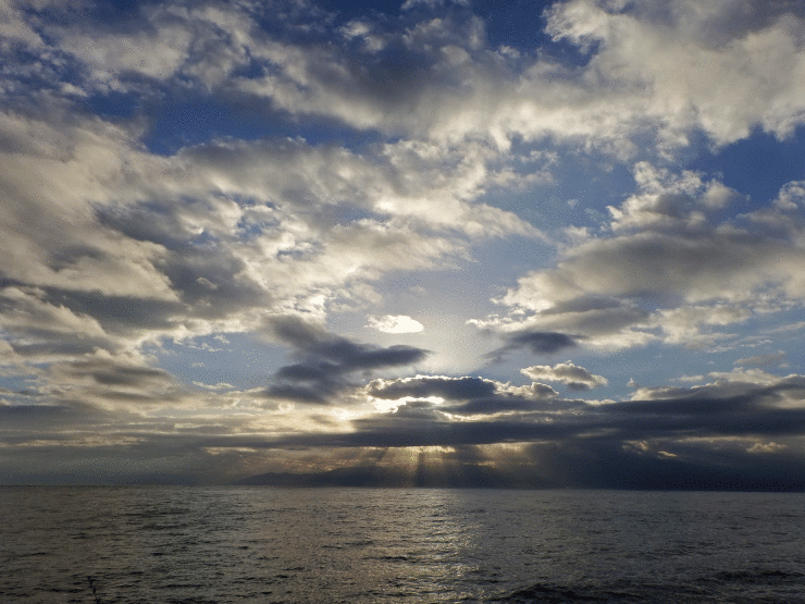 c0176183_19034210.gif