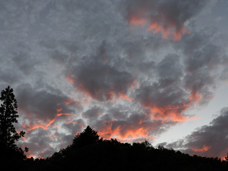 ほんたき山のカフェ　秋の空_a0110584_22304185.jpg