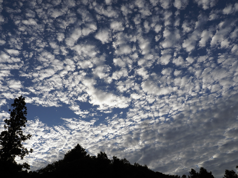 ほんたき山のカフェ　秋の空_a0110584_22310980.jpg