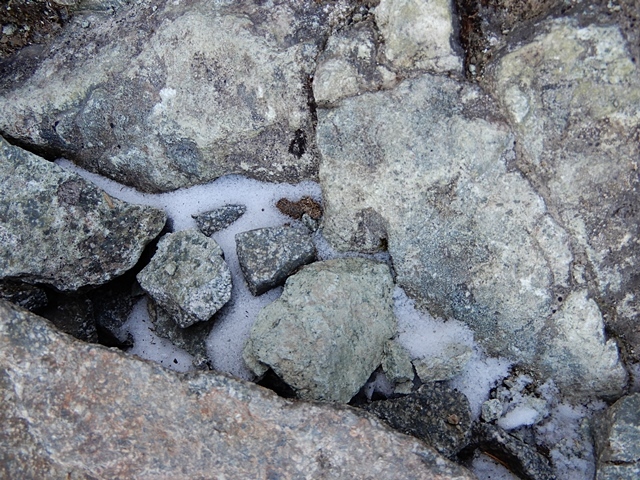 f0357487_20523366.jpg