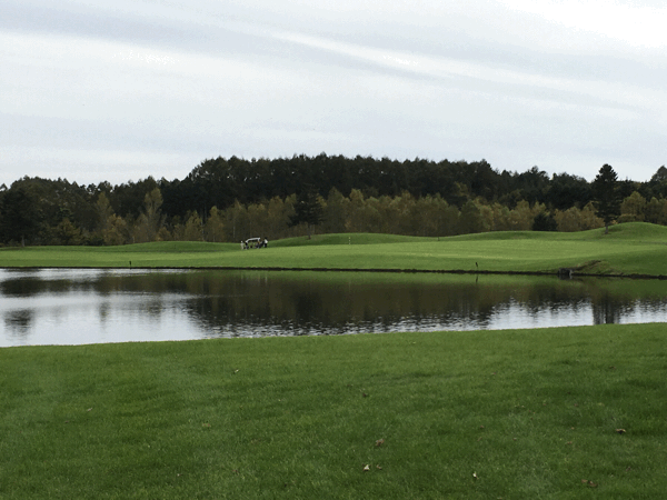 a0309389_19563316.gif