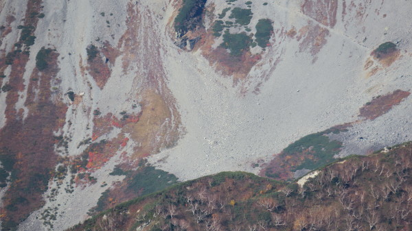 e0271890_22342931.jpg