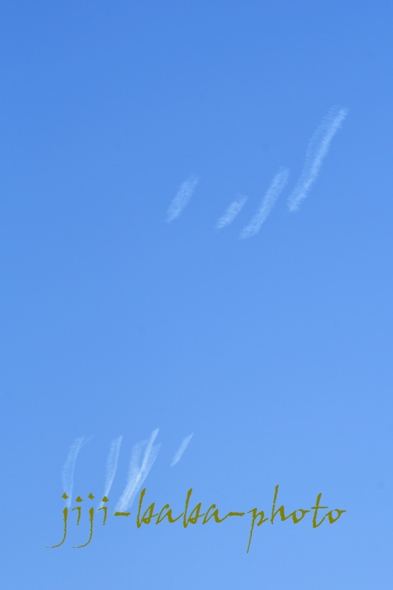d0239891_10495457.jpg