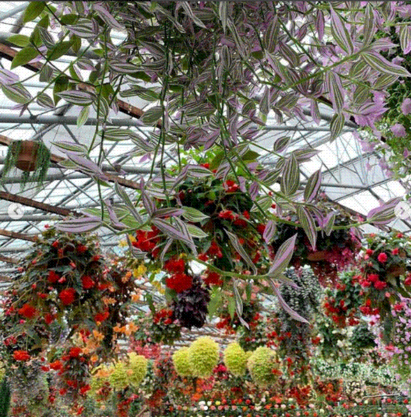 e0199691_00350129.gif