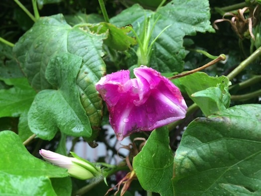 c0124998_23400828.jpg