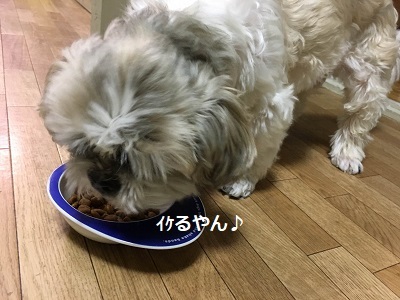 f0372998_22243359.jpg