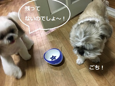 f0372998_22244639.jpg