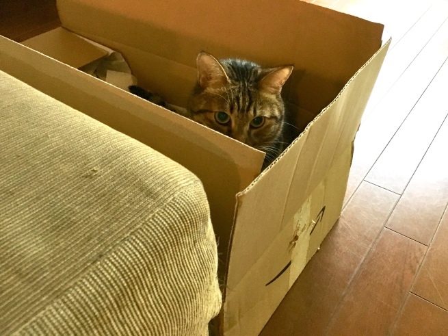 c0362401_17335924.jpeg
