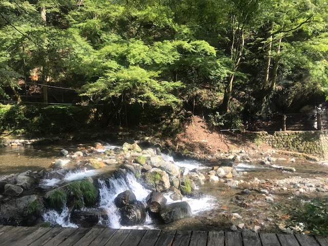 a0050302_11563340.jpg