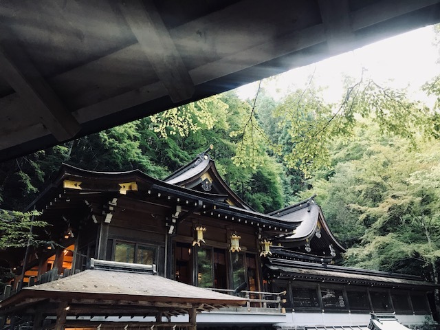 a0050302_11582838.jpg