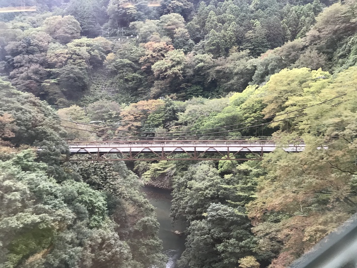 c0212604_99468.jpg