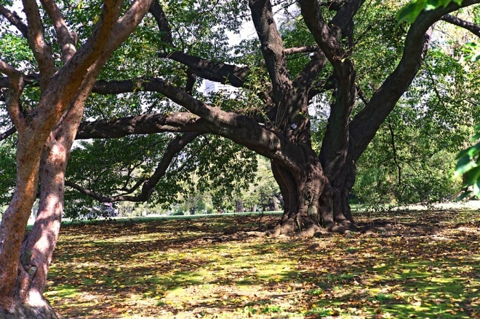 d0376905_20394193.jpg