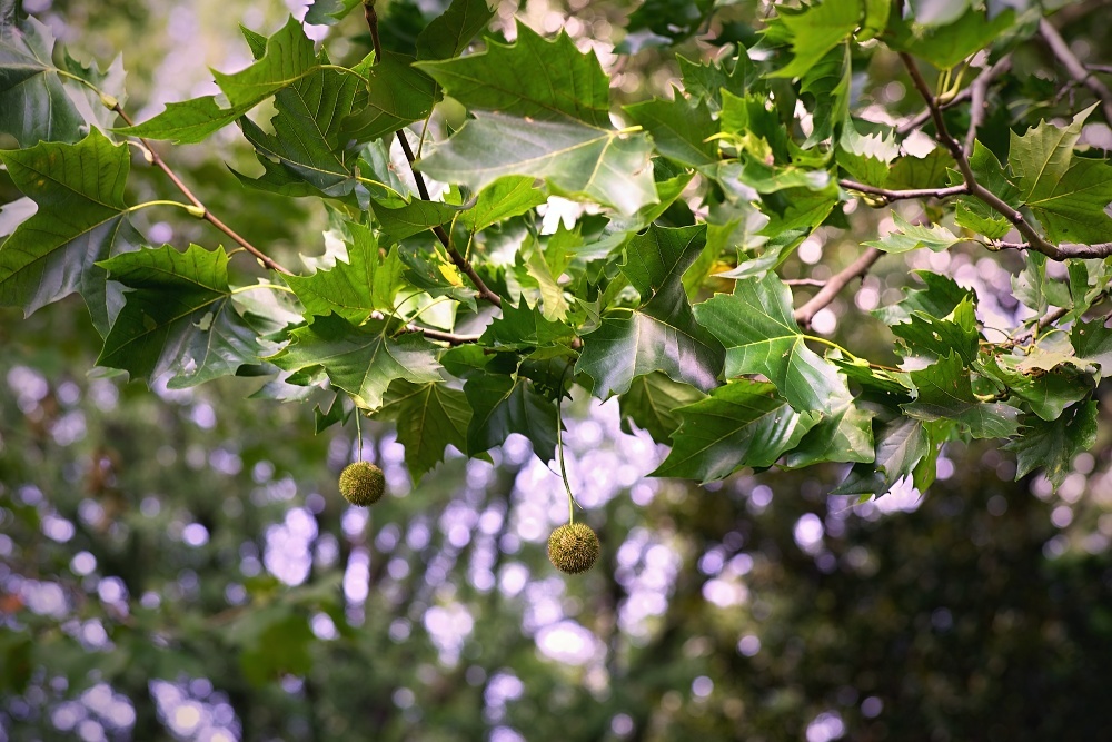 d0376905_20404716.jpg