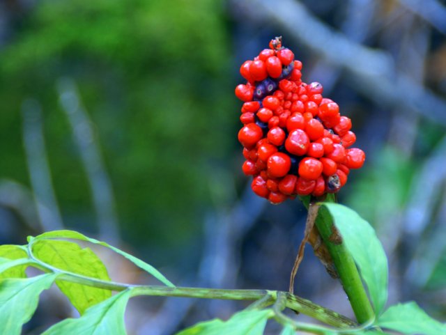 a0345007_20102897.jpg