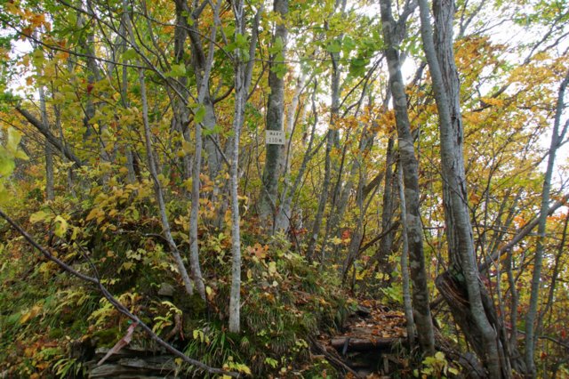 a0345007_2020025.jpg