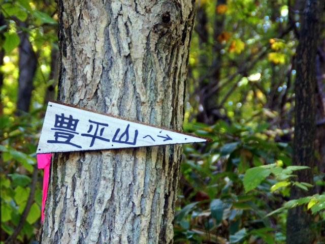 a0345007_2045152.jpg