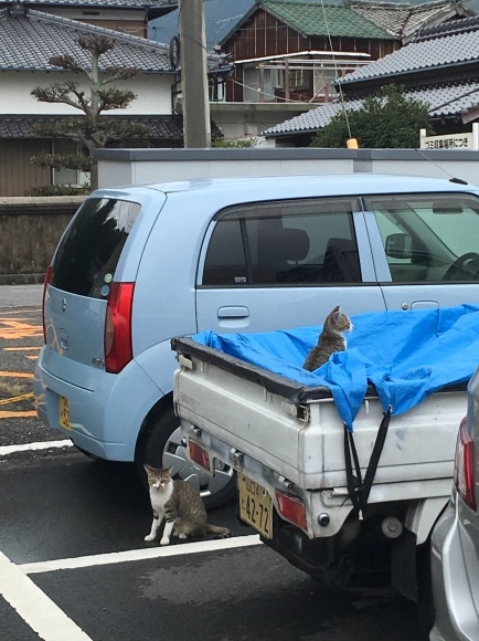 c0109109_19195866.jpeg