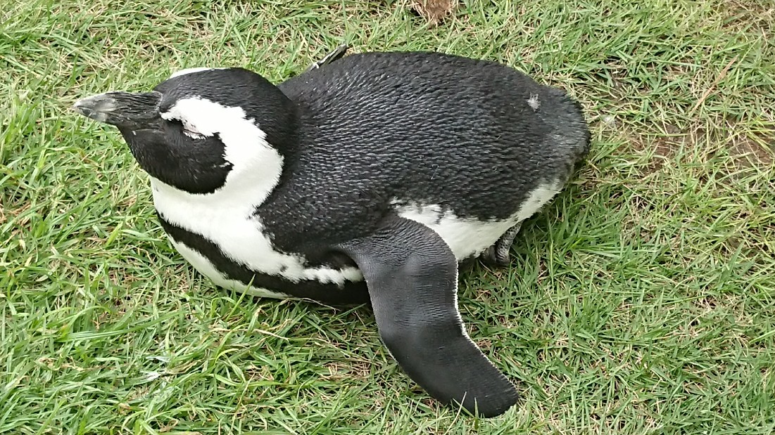 d0326314_00525912.jpg