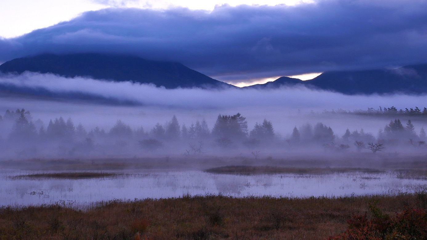 朝霧のベールが薄れ、徐々に「幻の湖」が姿を現した・・・２０１８秋の小田代ヶ原シリーズ（２）_a0031821_10351575.jpg