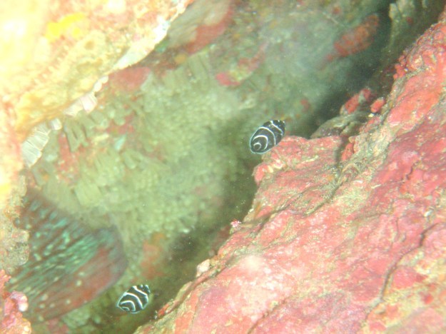 c0115421_20150579.jpg