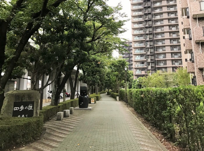 我がシティを紹介〔Ⅲ〕・・・(3914)_e0349324_07414995.jpg