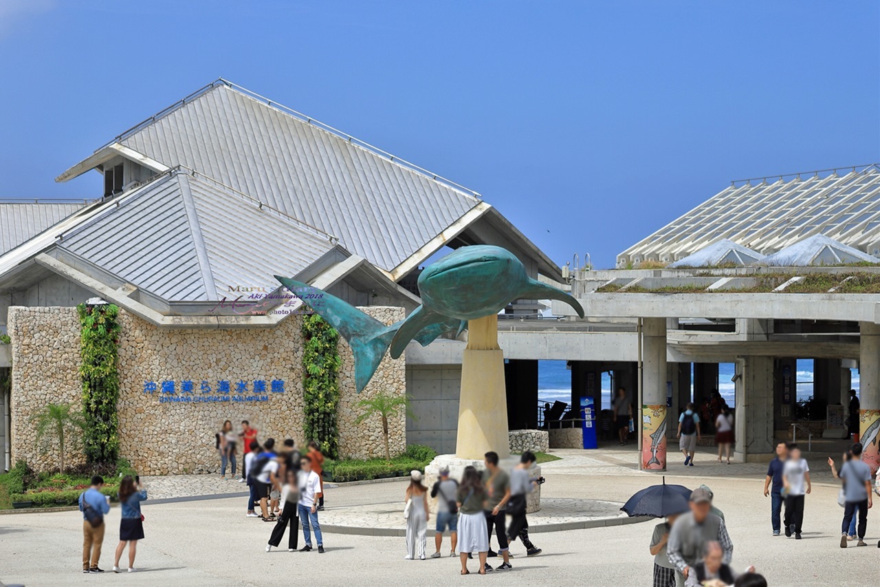 まゝに/10月の夏休み.沖縄3 美ら海水族館_d0342426_20503181.jpg