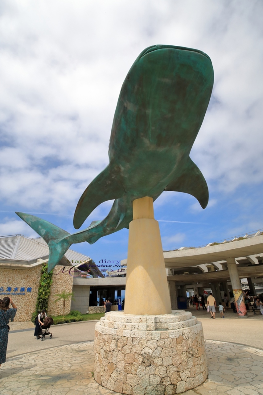 まゝに/10月の夏休み.沖縄3 美ら海水族館_d0342426_20513155.jpg