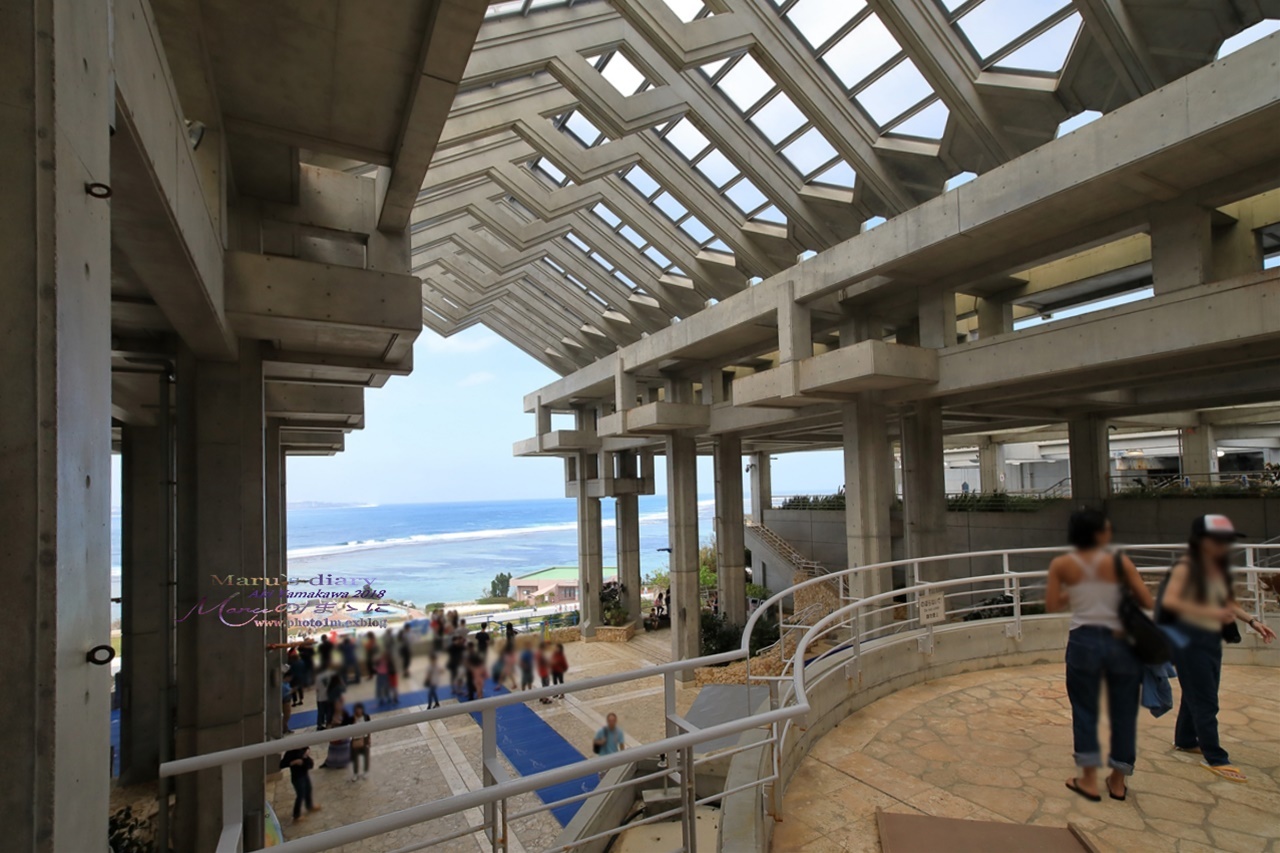 まゝに/10月の夏休み.沖縄3 美ら海水族館_d0342426_20560427.jpg